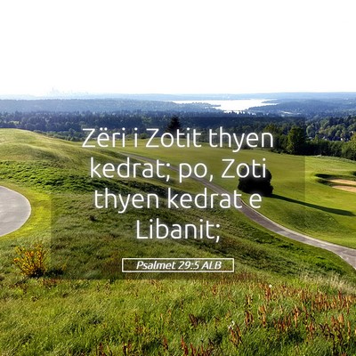 Picture 05 - Psalmet 29:5 ALB - Zëri i Zotit thyen kedrat; po, Zoti thyen kedrat - Bible Verse Picture