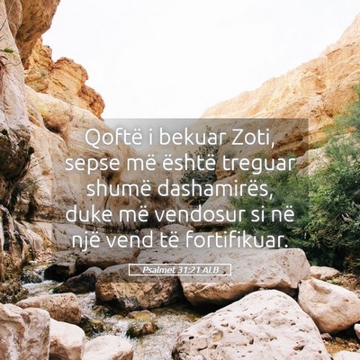 Picture 05 - Psalmet 31:21 ALB - Qoftë i bekuar Zoti, sepse më është treguar - Bible Verse Picture