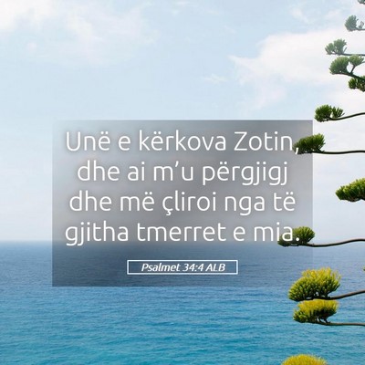 Picture 05 - Psalmet 34:4 ALB - Unë e kërkova Zotin, dhe ai m’u përgjigj dhe - Bible Verse Picture