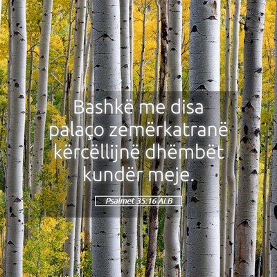 Picture 05 - Psalmet 35:16 ALB - Bashkë me disa palaço zemërkatranë - Bible Verse Picture