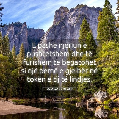 Picture 05 - Psalmet 37:35 ALB - E pashë njeriun e pushtetshëm dhe të furishëm - Bible Verse Picture