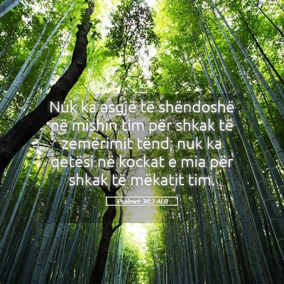Picture 05 - Psalmet 38:3 ALB - Nuk ka asgjë të shëndoshë në mishin tim për - Bible Verse Picture