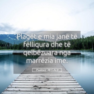 Picture 05 - Psalmet 38:5 ALB - Plagët e mia janë të fëlliqura dhe të - Bible Verse Picture