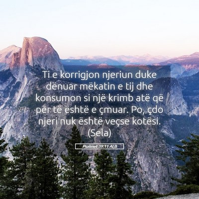 Picture 05 - Psalmet 39:11 ALB - Ti e korrigjon njeriun duke dënuar mëkatin e - Bible Verse Picture