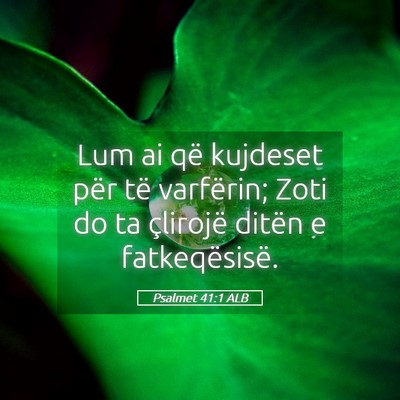 Picture 05 - Psalmet 41:1 ALB - Lum ai që kujdeset për të varfërin; Zoti do - Bible Verse Picture