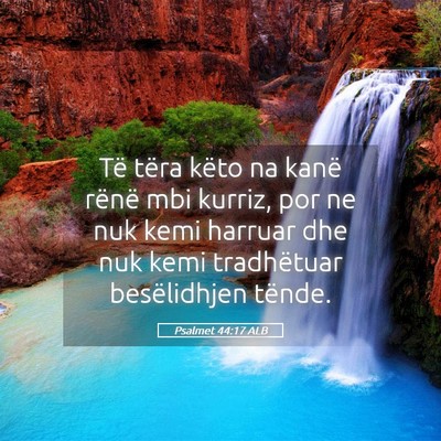 Picture 05 - Psalmet 44:17 ALB - Të tëra këto na kanë rënë mbi kurriz, por - Bible Verse Picture