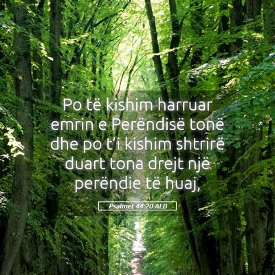 Picture 05 - Psalmet 44:20 ALB - Po të kishim harruar emrin e Perëndisë tonë - Bible Verse Picture