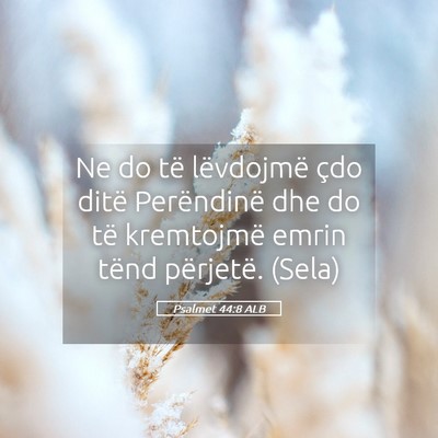 Picture 05 - Psalmet 44:8 ALB - Ne do të lëvdojmë çdo ditë Perëndinë dhe - Bible Verse Picture