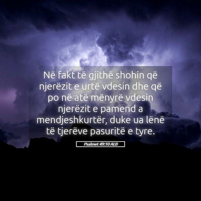 Picture 05 - Psalmet 49:10 ALB - Në fakt të gjithë shohin që njerëzit e urtë - Bible Verse Picture