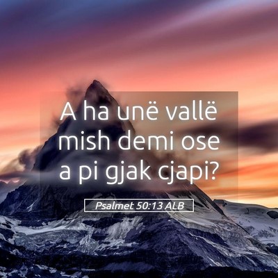 Picture 05 - Psalmet 50:13 ALB - A ha unë vallë mish demi ose a pi gjak - Bible Verse Picture