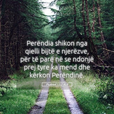 Picture 05 - Psalmet 53:2 ALB - Perëndia shikon nga qielli bijtë e njerëzve, - Bible Verse Picture