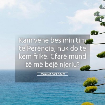 Picture 05 - Psalmet 56:11 ALB - Kam vënë besimin tim te Perëndia, nuk do të - Bible Verse Picture