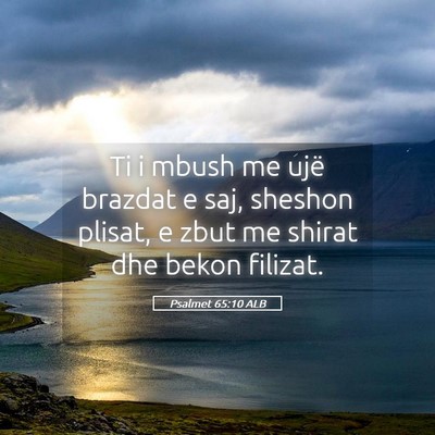 Picture 05 - Psalmet 65:10 ALB - Ti i mbush me ujë brazdat e saj, sheshon plisat, - Bible Verse Picture