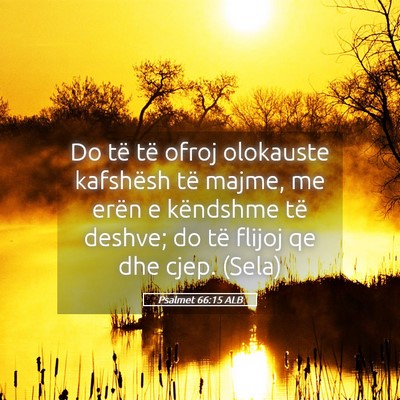Picture 05 - Psalmet 66:15 ALB - Do të të ofroj olokauste kafshësh të majme, - Bible Verse Picture