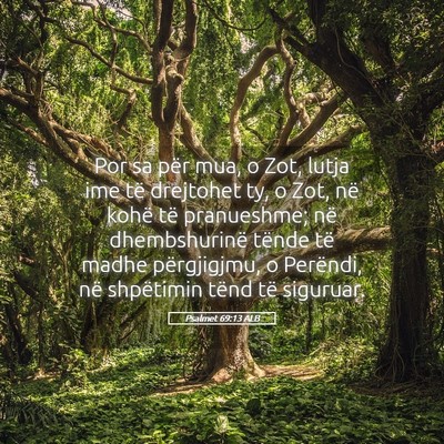 Picture 05 - Psalmet 69:13 ALB - Por sa për mua, o Zot, lutja ime të drejtohet - Bible Verse Picture