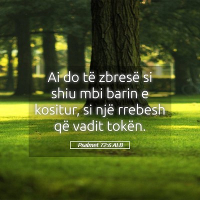 Picture 05 - Psalmet 72:6 ALB - Ai do të zbresë si shiu mbi barin e kositur, si - Bible Verse Picture