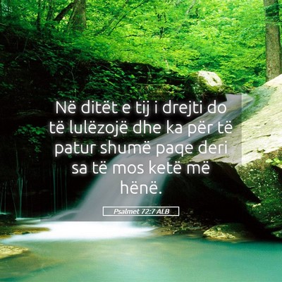 Picture 05 - Psalmet 72:7 ALB - Në ditët e tij i drejti do të lulëzojë dhe - Bible Verse Picture