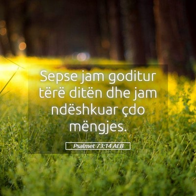Picture 05 - Psalmet 73:14 ALB - Sepse jam goditur tërë ditën dhe jam - Bible Verse Picture