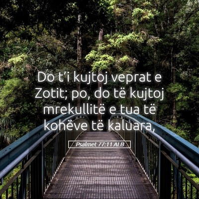 Picture 05 - Psalmet 77:11 ALB - Do t’i kujtoj veprat e Zotit; po, do të kujtoj - Bible Verse Picture
