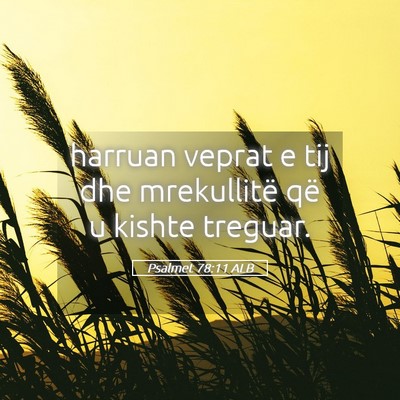 Picture 05 - Psalmet 78:11 ALB - harruan veprat e tij dhe mrekullitë që u kishte - Bible Verse Picture