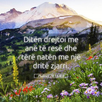 Picture 05 - Psalmet 78:14 ALB - Ditën drejtoi me anë të resë dhe tërë - Bible Verse Picture