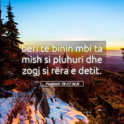 Picture 05 - Psalmet 78:27 ALB - bëri të binin mbi ta mish si pluhuri dhe zogj - Bible Verse Picture