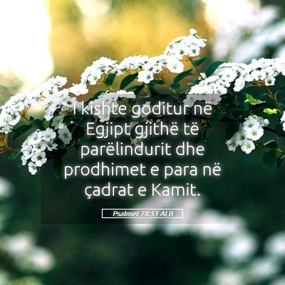 Picture 05 - Psalmet 78:51 ALB - I kishte goditur në Egjipt gjithë të - Bible Verse Picture