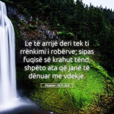 Picture 05 - Psalmet 79:11 ALB - Le të arrijë deri tek ti rrënkimi i robërve; - Bible Verse Picture