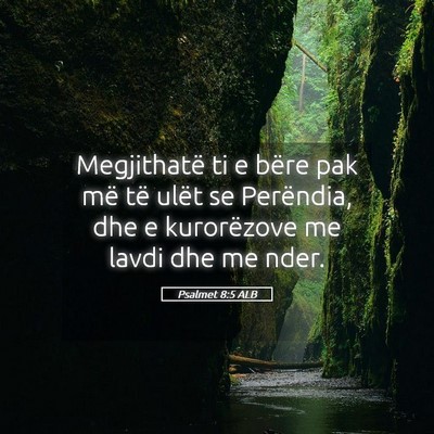 Picture 05 - Psalmet 8:5 ALB - Megjithatë ti e bëre pak më të ulët se - Bible Verse Picture