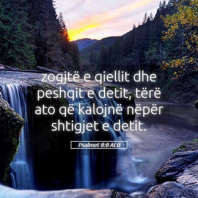 Picture 05 - Psalmet 8:8 ALB - zogjtë e qiellit dhe peshqit e detit, tërë ato - Bible Verse Picture
