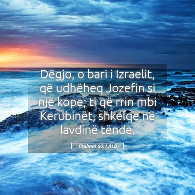 Picture 05 - Psalmet 80:1 ALB - Dëgjo, o bari i Izraelit, që udhëheq Jozefin - Bible Verse Picture