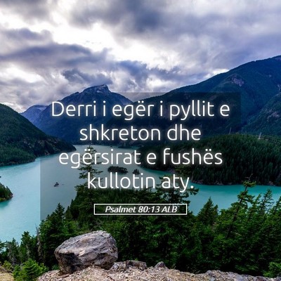 Picture 05 - Psalmet 80:13 ALB - Derri i egër i pyllit e shkreton dhe egërsirat - Bible Verse Picture