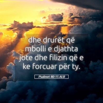 Picture 05 - Psalmet 80:15 ALB - dhe drurët që mbolli e djathta jote dhe filizin - Bible Verse Picture