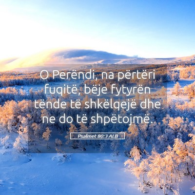 Picture 05 - Psalmet 80:3 ALB - O Perëndi, na përtëri fuqitë, bëje fytyrën - Bible Verse Picture