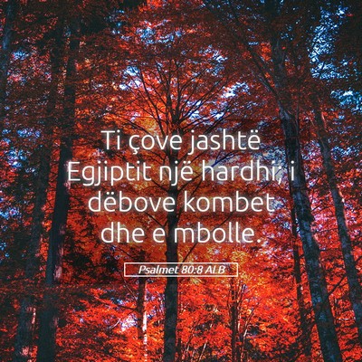 Picture 05 - Psalmet 80:8 ALB - Ti çove jashtë Egjiptit një hardhi; i dëbove - Bible Verse Picture