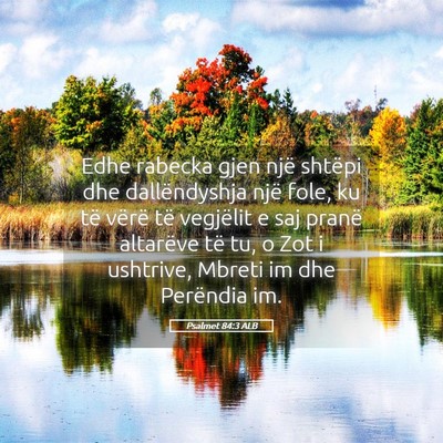 Picture 05 - Psalmet 84:3 ALB - Edhe rabecka gjen një shtëpi dhe dallëndyshja - Bible Verse Picture