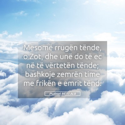 Picture 05 - Psalmet 86:11 ALB - Mësomë rrugën tënde, o Zot, dhe unë do të - Bible Verse Picture