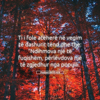 Picture 05 - Psalmet 89:19 ALB - Ti i fole atëherë në vegim të dashurit tënd - Bible Verse Picture