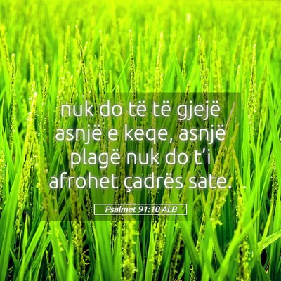 Picture 05 - Psalmet 91:10 ALB - nuk do të të gjejë asnjë e keqe, asnjë - Bible Verse Picture