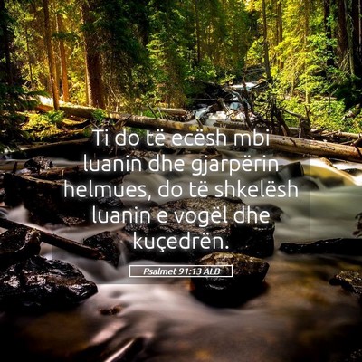 Picture 05 - Psalmet 91:13 ALB - Ti do të ecësh mbi luanin dhe gjarpërin - Bible Verse Picture