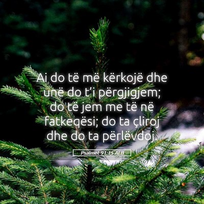 Picture 05 - Psalmet 91:15 ALB - Ai do të më kërkojë dhe unë do t’i - Bible Verse Picture