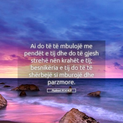 Picture 05 - Psalmet 91:4 ALB - Ai do të të mbulojë me pendët e tij dhe do - Bible Verse Picture