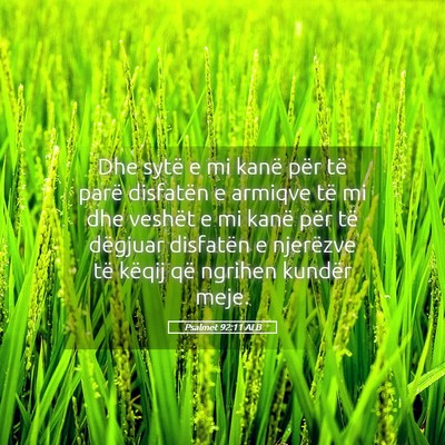 Picture 05 - Psalmet 92:11 ALB - Dhe sytë e mi kanë për të parë disfatën e - Bible Verse Picture
