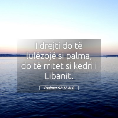 Picture 05 - Psalmet 92:12 ALB - I drejti do të lulëzojë si palma, do të - Bible Verse Picture