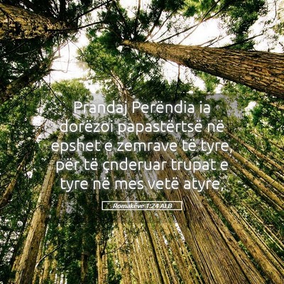 Picture 05 - Romakëve 1:24 ALB - Prandaj Perëndia ia dorëzoi papastërtsë në - Bible Verse Picture