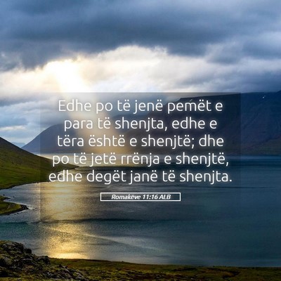 Picture 05 - Romakëve 11:16 ALB - Edhe po të jenë pemët e para të shenjta, edhe - Bible Verse Picture