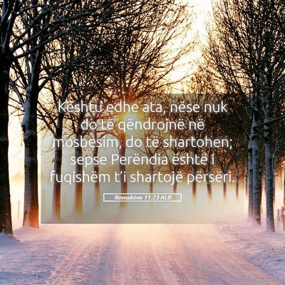 Picture 05 - Romakëve 11:23 ALB - Kështu edhe ata, nëse nuk do të qëndrojnë - Bible Verse Picture
