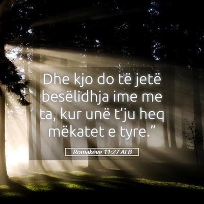 Picture 05 - Romakëve 11:27 ALB - Dhe kjo do të jetë besëlidhja ime me ta, kur - Bible Verse Picture