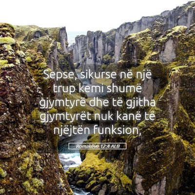 Picture 05 - Romakëve 12:4 ALB - Sepse, sikurse në një trup kemi shumë - Bible Verse Picture
