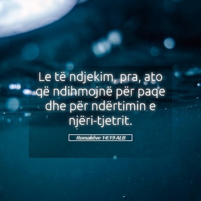 Picture 05 - Romakëve 14:19 ALB - Le të ndjekim, pra, ato që ndihmojnë për paqe - Bible Verse Picture